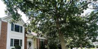 136 Grande Woodlands Way 136 Grande Woodlands Way Photo Gallery 1