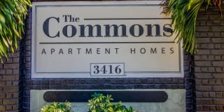The Commons The Commons Photo Gallery 1