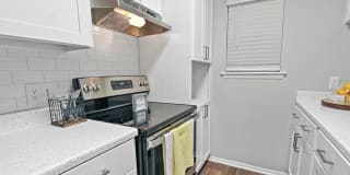 Hollytree Apartments Hollytree Apartments Photo Gallery 1