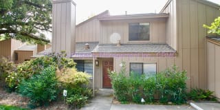60 Cinnamon Teal Ln 60 Cinnamon Teal Ln Photo Gallery 1