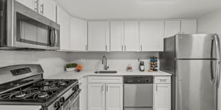 The Village at Chestnut Hill The Village at Chestnut Hill Photo Gallery 1