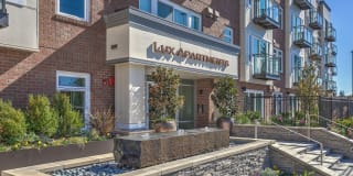 Lux Lux Photo Gallery 1