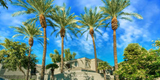 Indigo Springs Indigo Springs Photo Gallery 1
