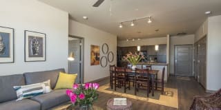 909 Flats 909 Flats Photo Gallery 1