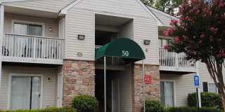 50 WHITE PINE CIRCLE 50 WHITE PINE CIRCLE Photo Gallery 1