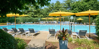 Seneca Place Seneca Place Photo Gallery 1