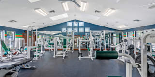 Forest Lake Forest Lake Photo Gallery 1