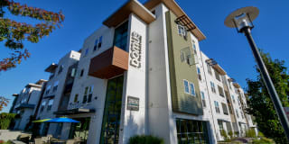 Domus on the Boulevard Domus on the Boulevard Photo Gallery 1