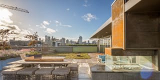 True North True North Photo Gallery 1