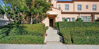 33 Iceberg Rose 33 Iceberg Rose Photo Gallery 1