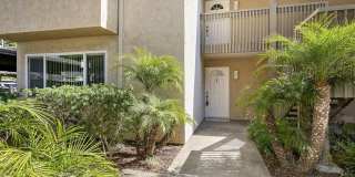8529 Villa La Jolla Drive 8529 Villa La Jolla Drive Photo Gallery 1