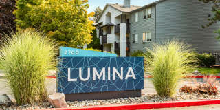 Lumina Apartments