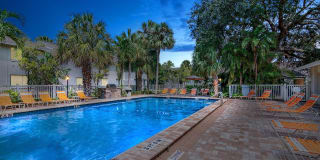 Sarasota South Sarasota South Photo Gallery 1