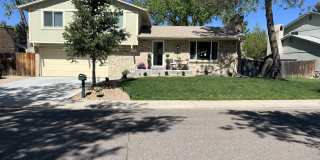 8229 Harlan Court 8229 Harlan Court Photo Gallery 1