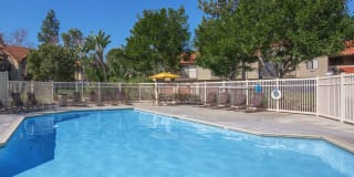 Mosaic Apartment Homes Mosaic Apartment Homes Photo Gallery 1