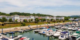 The Docks The Docks Photo Gallery 1