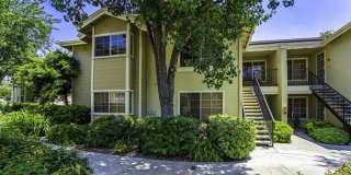 3535 Grove Street #222 3535 Grove Street #222 Photo Gallery 1