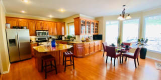 6926 Charlotte 6926 Charlotte Photo Gallery 1