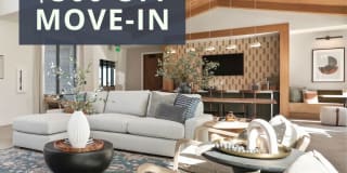 Alana Apartments Alana Apartments Photo Gallery 1