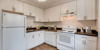 Regent Park Regent Park Photo Gallery 1