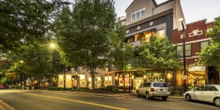 NOMA Flats NOMA Flats Photo Gallery 1