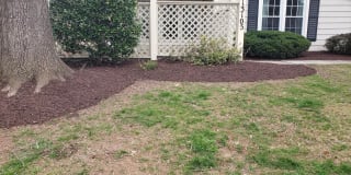 13105 SHADYSIDE LN #10-161 13105 SHADYSIDE LN #10-161 Photo Gallery 1