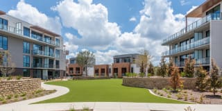 The Village Drey The Village Drey Photo Gallery 1