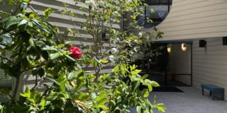 55 W 20th AVE 209 55 W 20th AVE 209 Photo Gallery 1