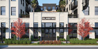 Olmsted Savannah Olmsted Savannah Photo Gallery 1