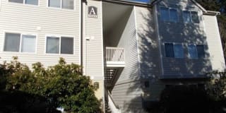 Westwind Westwind Photo Gallery 1