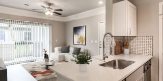 Palomar Palomar Photo Gallery 1