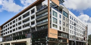 Trellis House Trellis House Photo Gallery 1