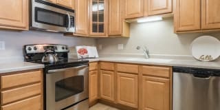 Plaza Plaza Photo Gallery 1