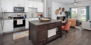 Argyle Lake at Oakleaf Town Center Argyle Lake at Oakleaf Town Center Photo Gallery 1