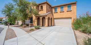 814 W Camino Curvitas -70 814 W Camino Curvitas -70 Photo Gallery 1