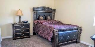 The Regency Apartments The Regency Apartments Photo Gallery 1