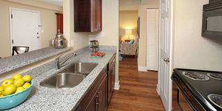 Promenade at Belleair Promenade at Belleair Photo Gallery 1