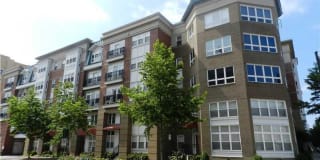 388 Boush Street #101 388 Boush Street #101 Photo Gallery 1
