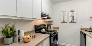 The Residences at Stonebrook The Residences at Stonebrook Photo Gallery 1