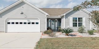 243 Red Carnation Drive 243 Red Carnation Drive Photo Gallery 1