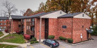 Tarpis Woods Tarpis Woods Photo Gallery 1