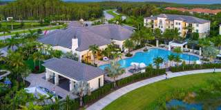 Town Treeline