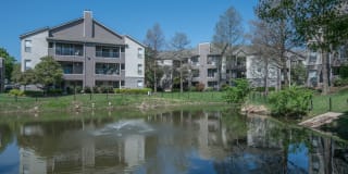 The Lakes at Renaissance Park Apartments The Lakes at Renaissance Park Apartments Photo Gallery 1