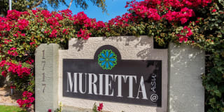 Murietta at ASU Photo Gallery 1