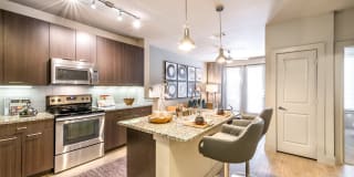 The Lucas at Cedar Springs The Lucas at Cedar Springs Photo Gallery 1