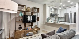 Icon Norfolk Apartments Icon Norfolk Apartments Photo Gallery 1