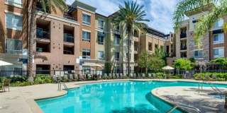 24595 Town Center Dr 3102 24595 Town Center Dr 3102 Photo Gallery 1