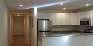 56 Egmont st 56 Egmont st Photo Gallery 1