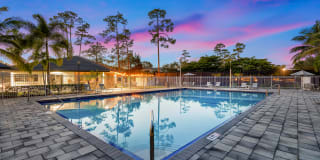 Palm Court at Wellington Palm Court at Wellington Photo Gallery 1