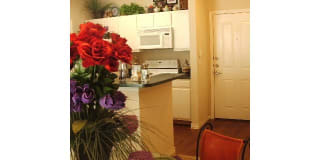 Refugio Place Refugio Place Photo Gallery 1
